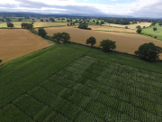 <p>Please call 01691 626000 to discuss your crop requirements with our specialist team of Agronomists.</p>