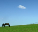 Image for CRE01