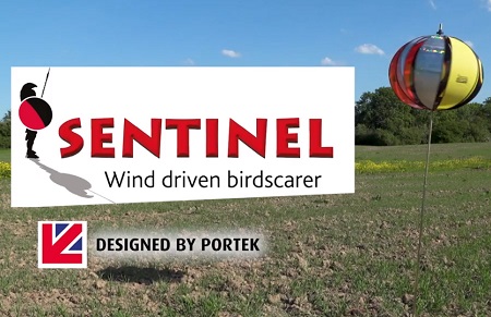 Sentinel Video